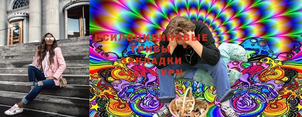 spice Алексеевка