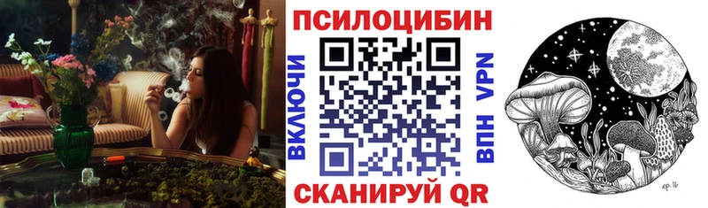 Галлюциногенные грибы Cubensis  цены наркотик  kraken   Тавда 